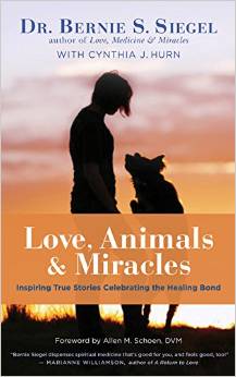 Love, Animals and Miracles: New World Library